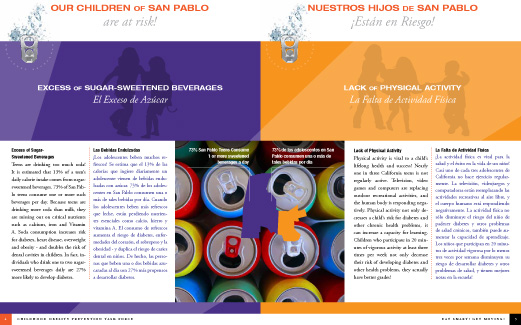 ENA Corporate Brochure